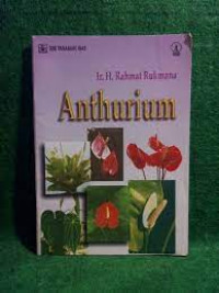 Image of Anthurium