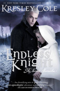 Image of Endless Knight